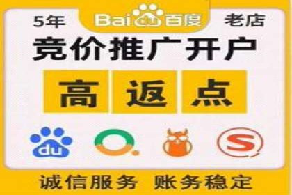 推广竞价案例分析：揭秘高转化率背后的秘密